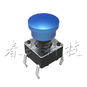A29-φ6  (a）