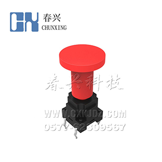 10X10防水  直插  帶帽