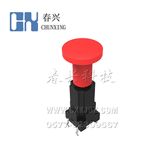 10*10防水  直插  高筒  帶帽 